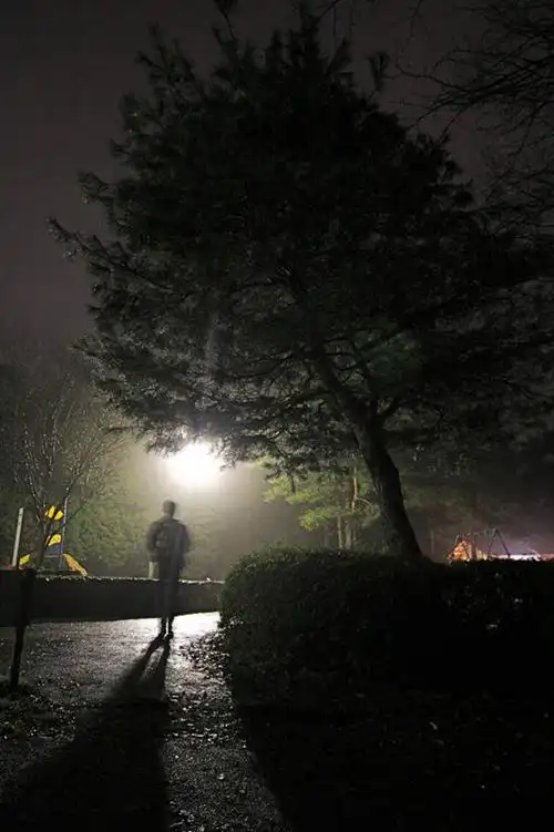 成年人,一个人,公园,竖图,室外,夜晚,神秘,日本