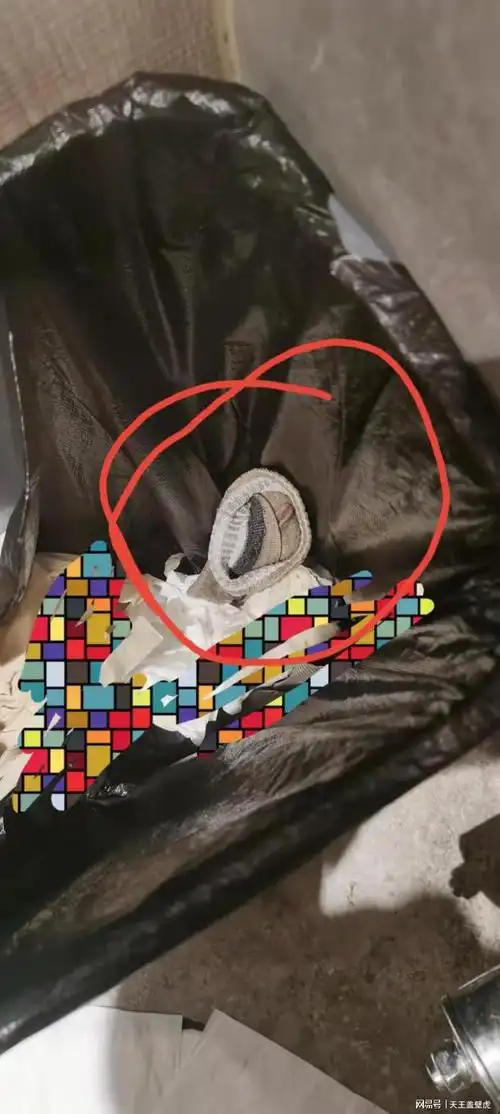 有谁知道,这只袜子到底经历了什么?|垃圾桶|境地|厕所|翘楚_网易订阅