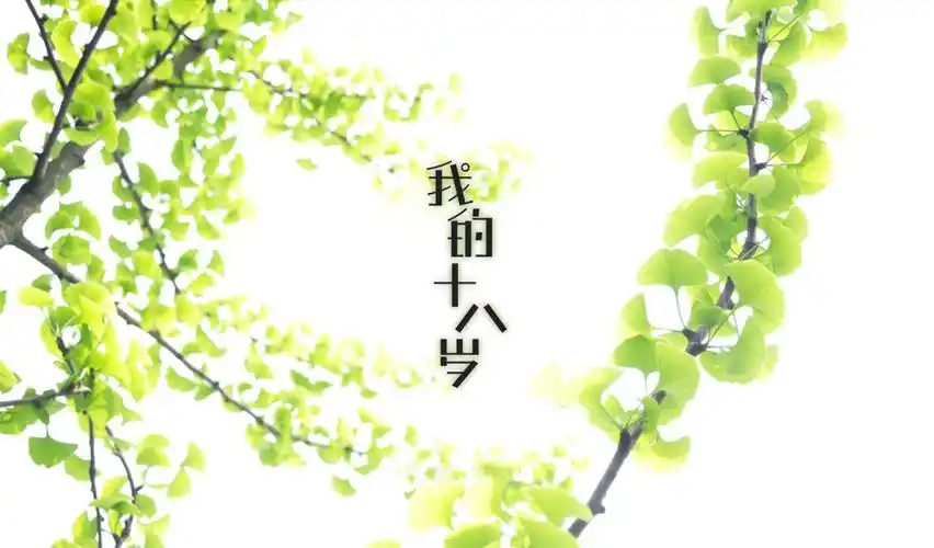 柳河山庄---我的十八岁小瓶187红酒标签及包装设