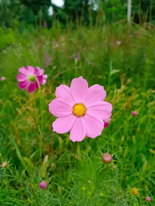 享受大自然的美景安静舒服和谐美好