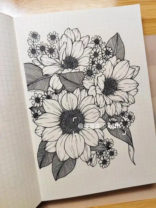 针管笔向日葵详细过程