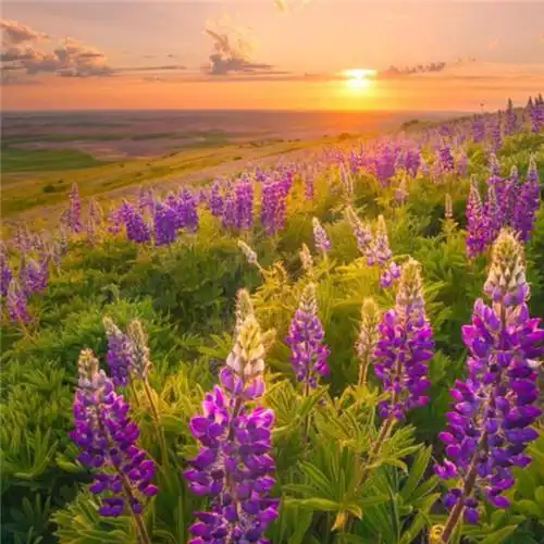 适合一辈子风景头像图片 高清值得一辈子不换的头像风景_风景微信头像