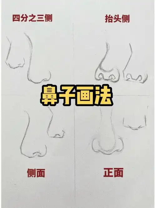 四句话鼻子画法