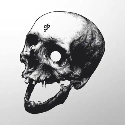 黑白骷髅 虽说大同小异