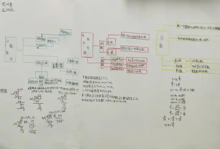 五年级下册《数与代数》整理