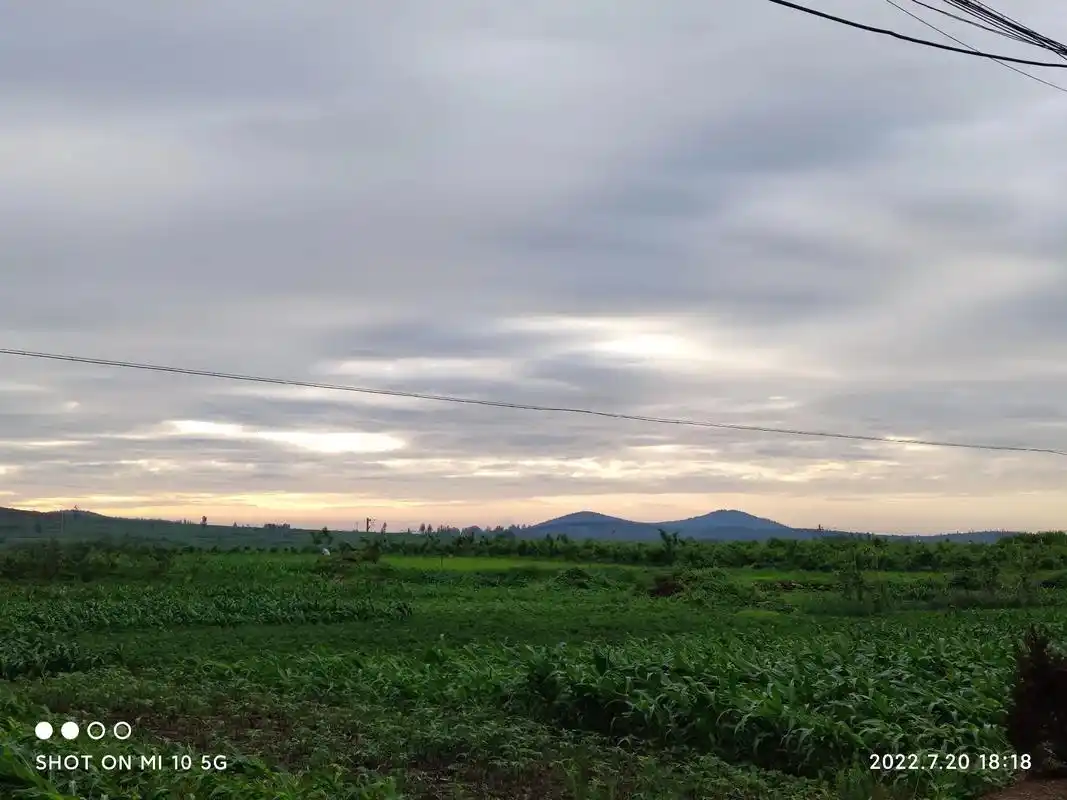 乡村的傍晚日落黄昏,随手拍的照片 就算不用调色也很美. - 抖音