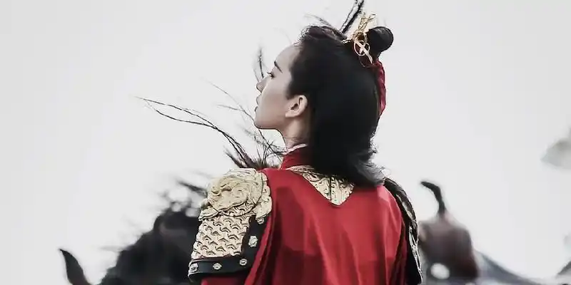 一个女将军被迫入宫,临死之际阐述她的一生(第一次写文,很生熟,写的不