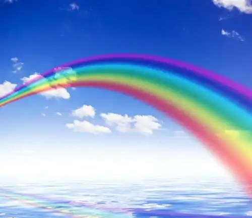 彩虹挂蓝天 大爱洒满园