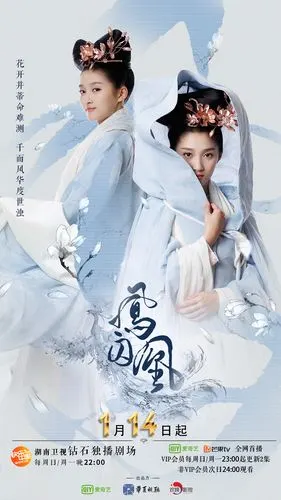 电视剧《凤囚凰》