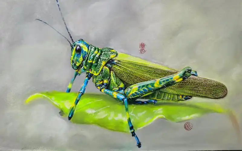 超多细节的昆虫彩铅画!