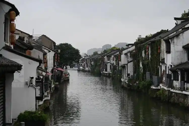 趁还没有十一,逛一逛#江南烟雨 #古街古巷 #尼康##我的摄 - 抖音