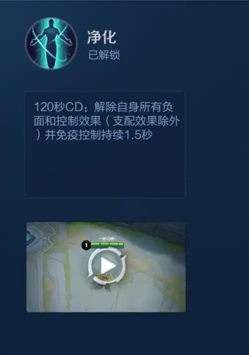 王者荣耀对于马可波罗来说净化和眩晕谁价值更大