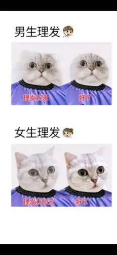 男生理发vs女生理发,太真实了