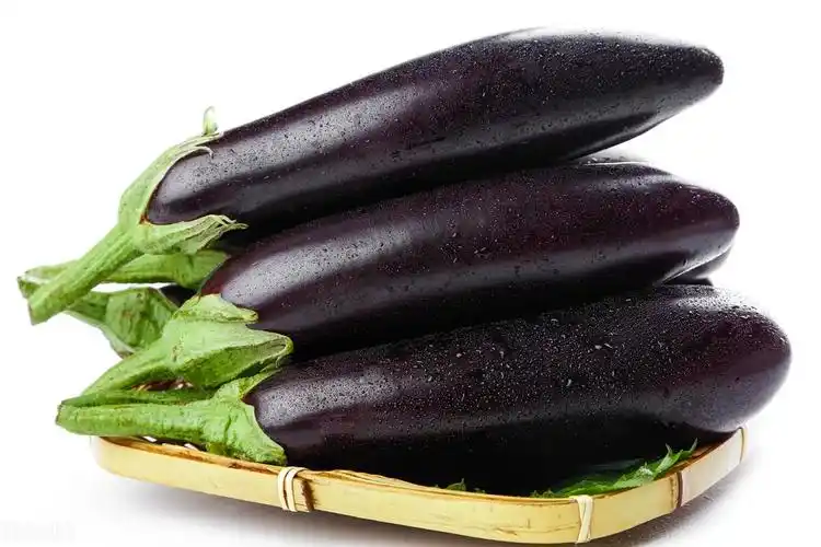 p data-id="gnfhddbtik">黑骠茄子是一个茄子品种,株型较直立,生长势