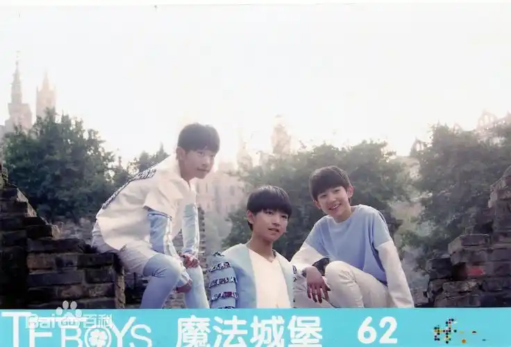 p>《四叶约定》是少年组合tfboys的粉丝"四叶草"乌梅与其朋友合作