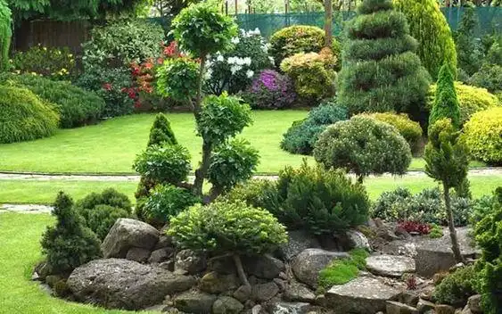 景观皮肤保存于110个庭院植物配置案例进入合集:110个庭院植物配置