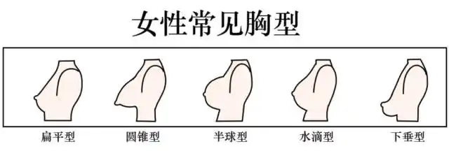 美酱来信我老公出轨了他公司胸最大的女同事我是不是也该去做个e杯