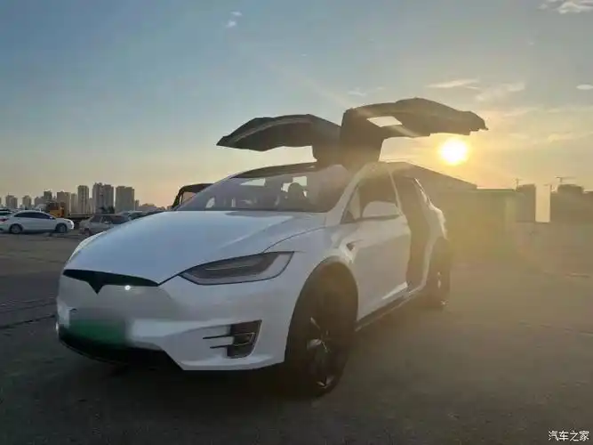 20年上牌特斯拉毛豆x