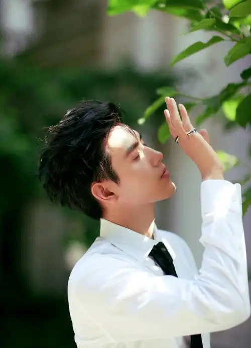 陈飞宇华表奖红毯造型