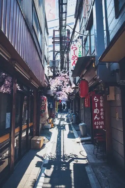 票圈背景 background 日本 japan