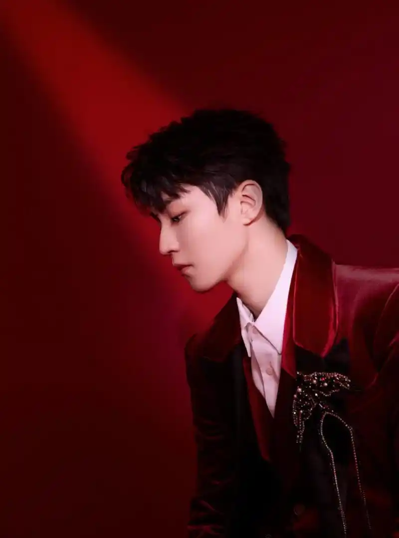 王俊凯一身央视春晚造型,身穿红色丝绒西装,佩戴燕子钻石胸针.