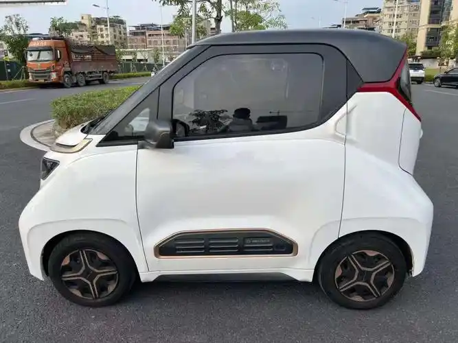 宝骏 e200  2020款 305km 智行版图片