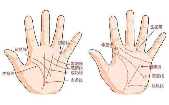 掌纹婚姻线有两条必定二婚吗二婚的掌纹标志