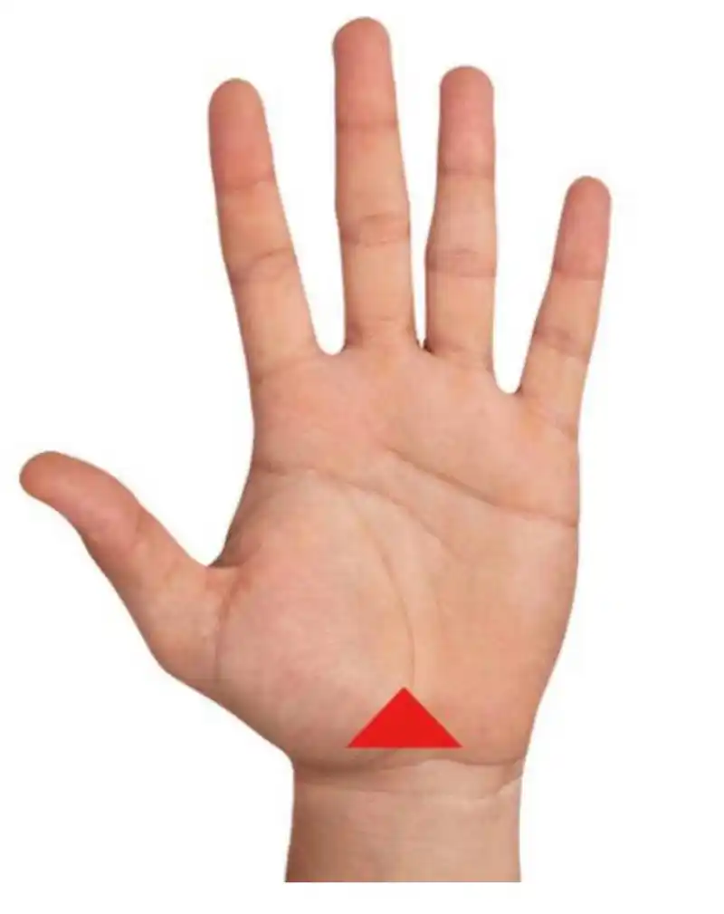 手诊手相 三角形区域是生殖系统,泌尿系统的反射区 1, 如果出现一个