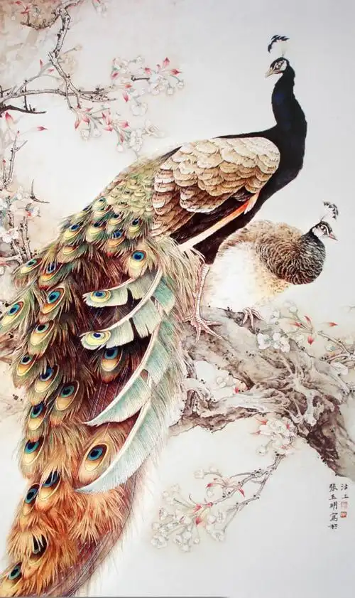 工笔画--孔雀百美图