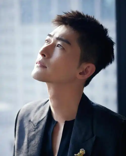 张翰的眼睛图片(拖行交警致残) - 经验百科大全