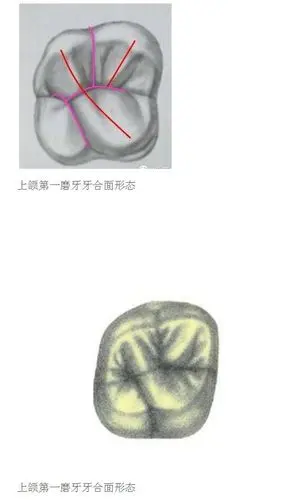 药品经营与管理专业:(一)考核内容:常用药品的分类管理(二)考核方式