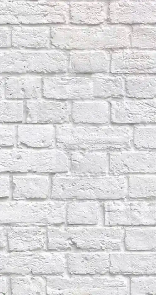 白色 实拍 简约 壁纸