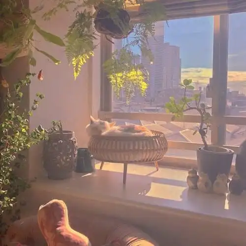 微信背景墙高级温馨的背景图你确定不换吗