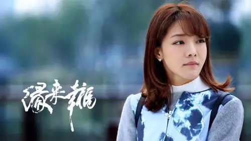 邓家佳《缘来幸福》剧照海报图片