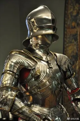 甲胄# 甲胄,曾属于神圣罗马帝国蒂罗尔公. 来自知兵斋 - 微博