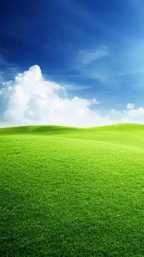 绿色保护您的眼睛,高清图片,手机锁屏桌面-壁纸族