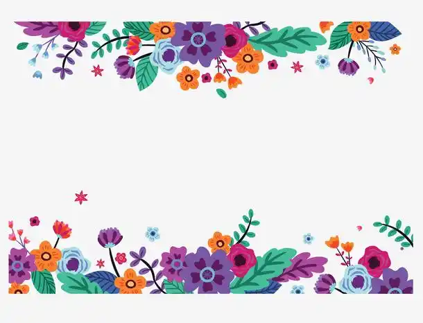 精美彩色花藤边框