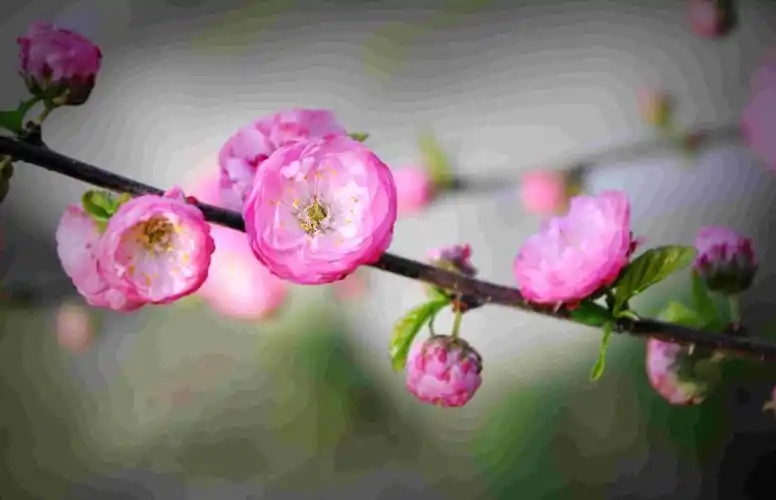 中国军垦文化之乡奋进新征程建功新时代文艺作品展播丨摄影三