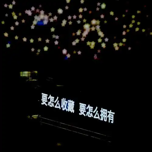 背景图 朋友圈配文 文字图 句子 演唱会歌词『我好想好想好想爱这个