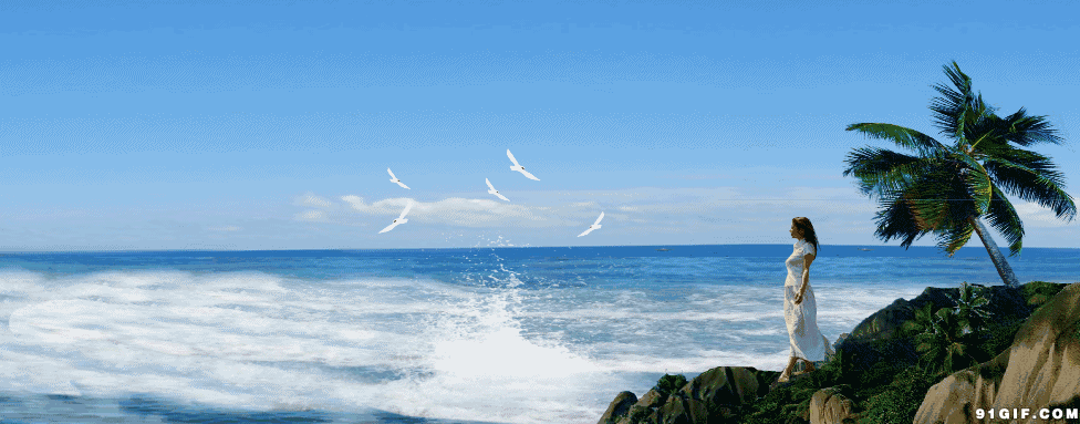 大海海鸥美女海岛阳光震撼gif动图_动态图_表情包下载_soogif