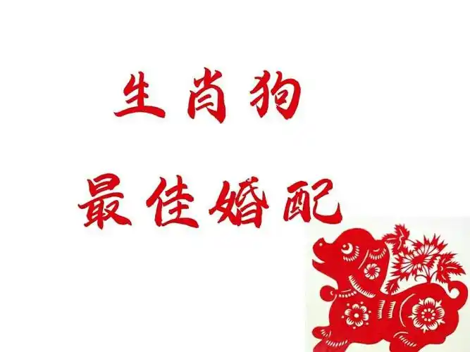 生肖男鸡和生肖狗女配不配 生肖男鸡和生肖狗女配不配婚
