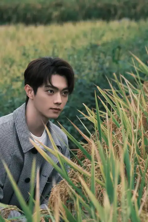 古德猫明许凯##许凯承欢记