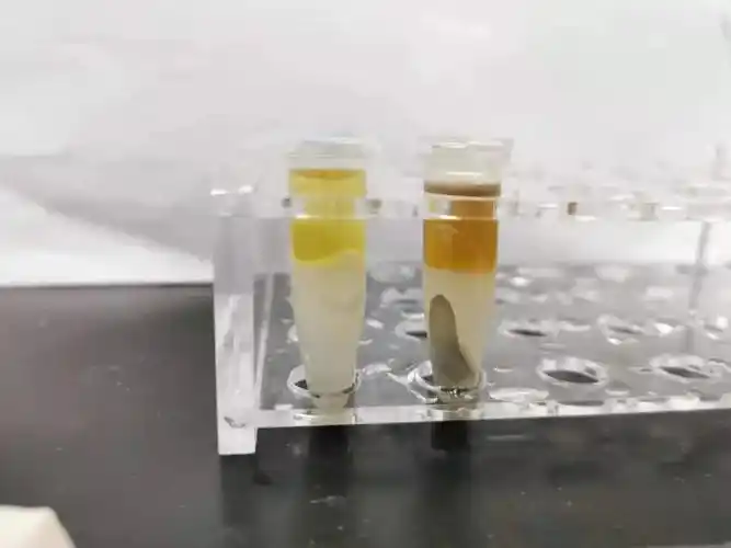 蛋白质组学前处理方法大揭秘学会了这几招之后包治百病