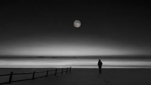 海岸 风光 风光 黑白 艺术 背影 简单 黎明