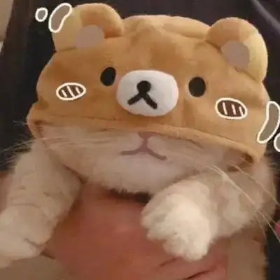 优雅可爱的呆萌小猫头像精致 很高清呆萌小猫头像热门_动物头像_美头