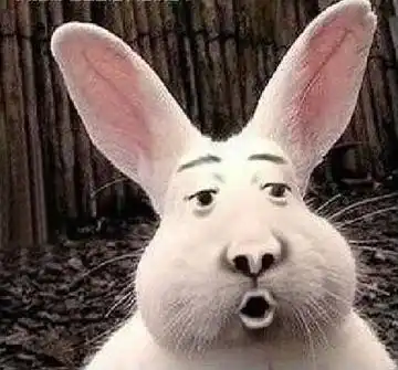 超级搞笑的兔子 - 幽默故事 - 故事365