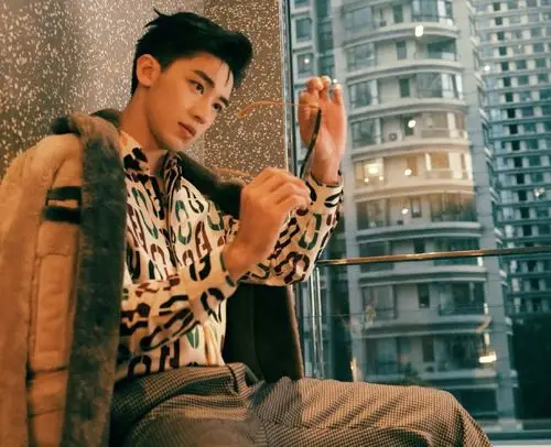 许魏洲港风印花衬衫帅气写真图片16