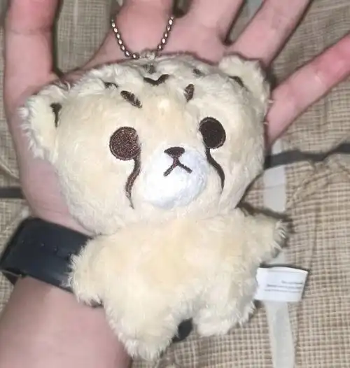 谁能拒绝可爱的cheetahlee