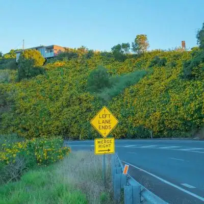 2020-05-04 18:35分享上传标签:最新更新风景如人间仙境微信头像