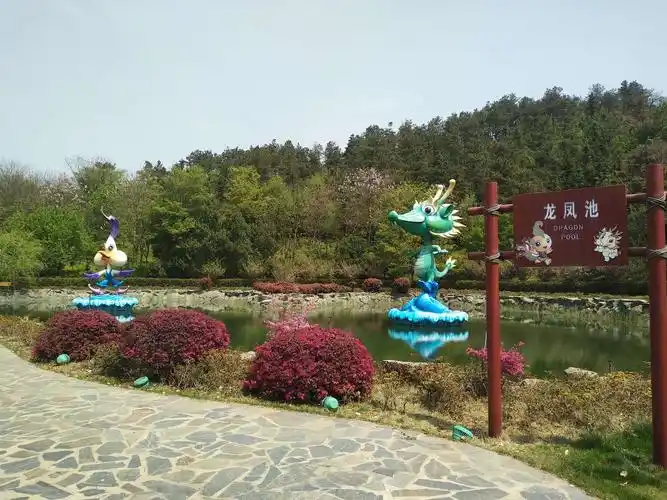 龙凤池的龙凤,真的很,可爱哈哈哈哈哈哈哈哈哈哈哈
